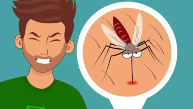 DBD Serang Kota Balikpapan: 292 Kasus Terlaporkan, Warga Diminta Waspada