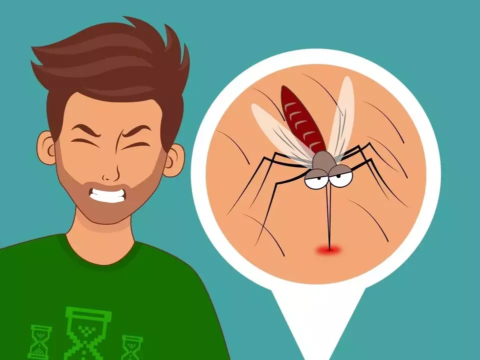 DBD Serang Kota Balikpapan: 292 Kasus Terlaporkan, Warga Diminta Waspada