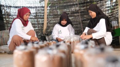 Dari Lahan Tidur Jadi Produktif: PLN Indonesia Power Sulap Desa Merah Mata