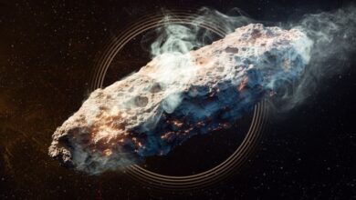 Debat Sengit: 3I/ATLAS Dianggap Komet Raksasa atau Pesawat Alien?