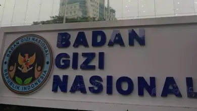 Deretan Purnawirawan TNI Jadi Pejabat BGN untuk Kawal Program MBG