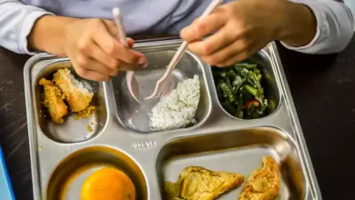 Ekonom UGM Sarankan Program MBG Diuji Coba di Sekolah Rakyat