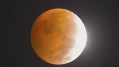 Fakta-Fakta Gerhana Bulan Total 7 September, Air Laut Pasang di Indonesia