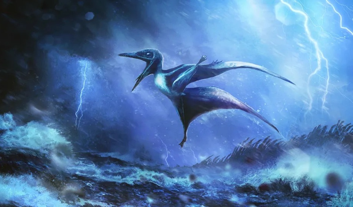 Fosil Bayi Pterosaurus: Bukti Tragedi Badai 150 Juta Tahun Lalu Ditemukan