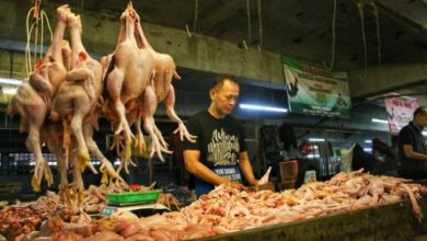 Harga Beras, Cabai, Daging Sapi, dan Telur Ayam Turun Serentak: Cek Daftarnya!