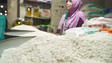 Harga Beras Diprediksi Naik, BPS Catat Kenaikan Agustus 2025