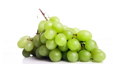 Ini 5 Buah Kaya Antioksidan yang Efektif untuk Detoksifikasi Liver