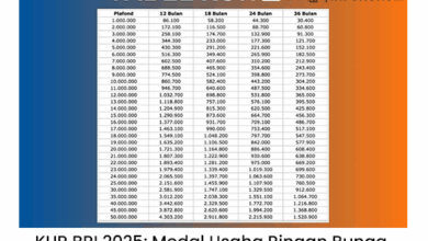 KUR BRI 2025: Syarat Lengkap dan Cara Dapatkan Modal Usaha Ringan Bunga Rendah