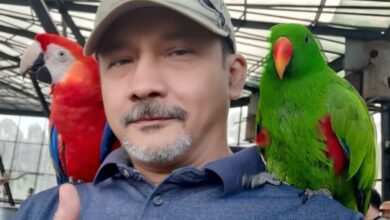 Keluarga Bing Slamet Berikan Tanggapan Usai Tanggal Lahir Jadi Hari Komedi Nasional