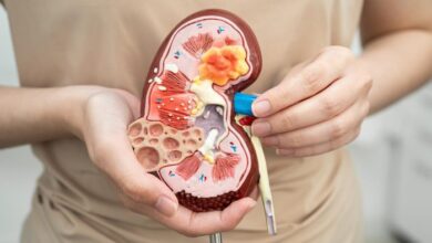 Memahami Letak dan Fungsi Ginjal di Tubuh Manusia untuk Kesehatan Optimal