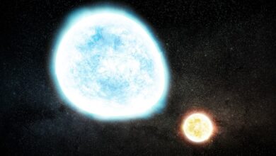 Menelisik Katai Putih: Peluang Kehidupan di Lautan Planet Bintang Mati