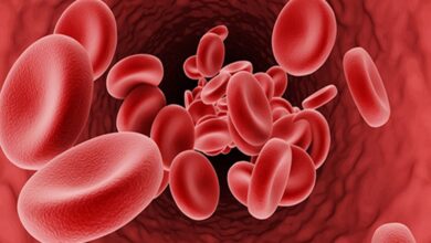 Mengenal Alpha Thalassemia: Gejala, Penyebab, dan Penanganannya