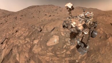 NASA Temukan Petunjuk Kehidupan di Batuan Purba Kawah Jezero Mars