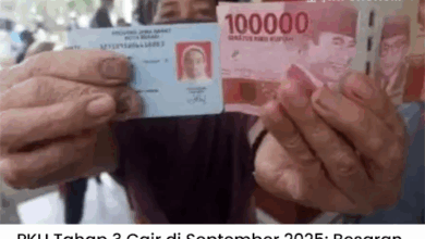 PKH Tahap 3 Cair September 2025: Besaran Bantuan & Cara Cek Penerima Lewat HP Mudah