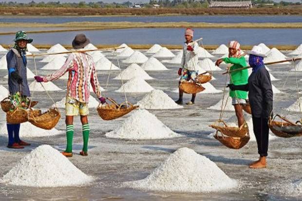 Pemerintah Perlu Kembangkan Salt Triangle Bipolo-Sabu-Rote Jadi Lumbung Garam