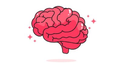 Peneliti Bocorkan Cara Kerja Otak Saat Mengambil Keputusan: Temuan Penting!