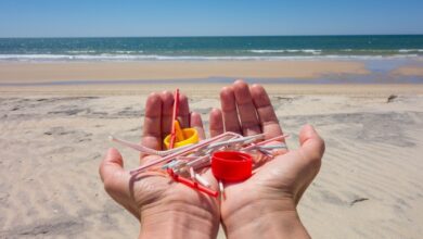 Penemuan Mengejutkan: Kuburan Plastik Tersembunyi di Dasar Laut Mediterania