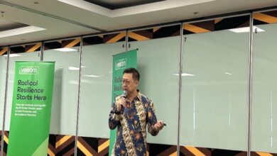 Serangan Siber Makin Beringas: Peretas Targetkan Sistem Utama dan Cadangan