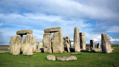 Temuan Gigi Sapi 5.000 Tahun Ungkap Metode Pembangunan Stonehenge