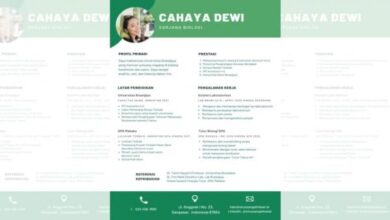 Tips Prompt ChatGPT: Cara Efektif Bikin CV Lolos Seleksi HRD Sekali Kirim!