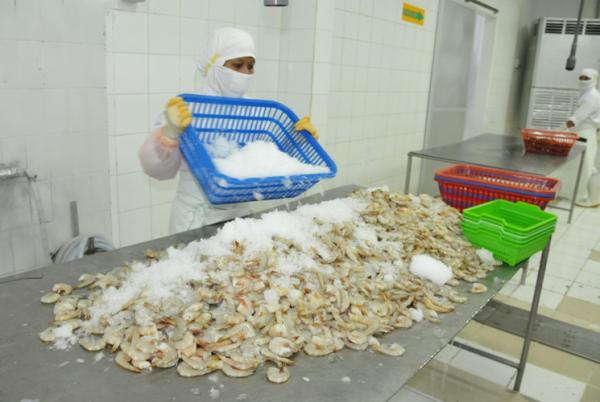 Udang Beku Indonesia Terkontaminasi Zat Radioaktif: Bahaya Serius untuk Kesehatan!