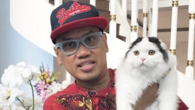 Uya Kuya Beri Respons Terkait Tuduhan Tak Becus Merawat Kucing