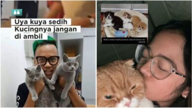 Uya Kuya Ikhlas Rumah Dijarah, Minta Kucingnya Kembali ke Pemilik Asli