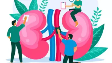 10 Fungsi Ginjal yang Menakjubkan dan Tips Menjaganya Tetap Sehat