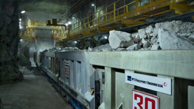 12% Saham Freeport Diterima Gratis Pemerintah, Bos Danantara Sebut Hasil Nego