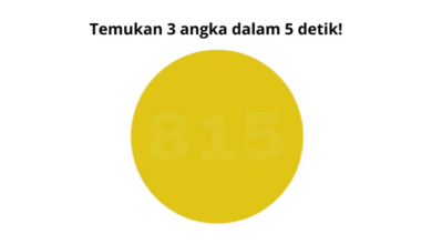 4 Tes Buta Warna Ini Bikin Banyak Orang Gagal Fokus, Apakah Kamu Juga?