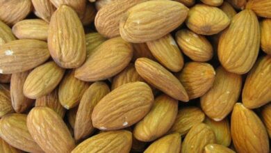 5 Manfaat Almond: Kunci Diet Sehat dan Perlindungan Jantung Anda
