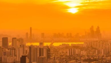 5 Penyakit yang Wajib Diwaspadai saat Cuaca Panas Ekstrem