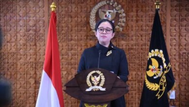 7 PMI Tewas di Kamboja Diduga Korban TPPO, Puan Serukan Perkuat Perlindungan