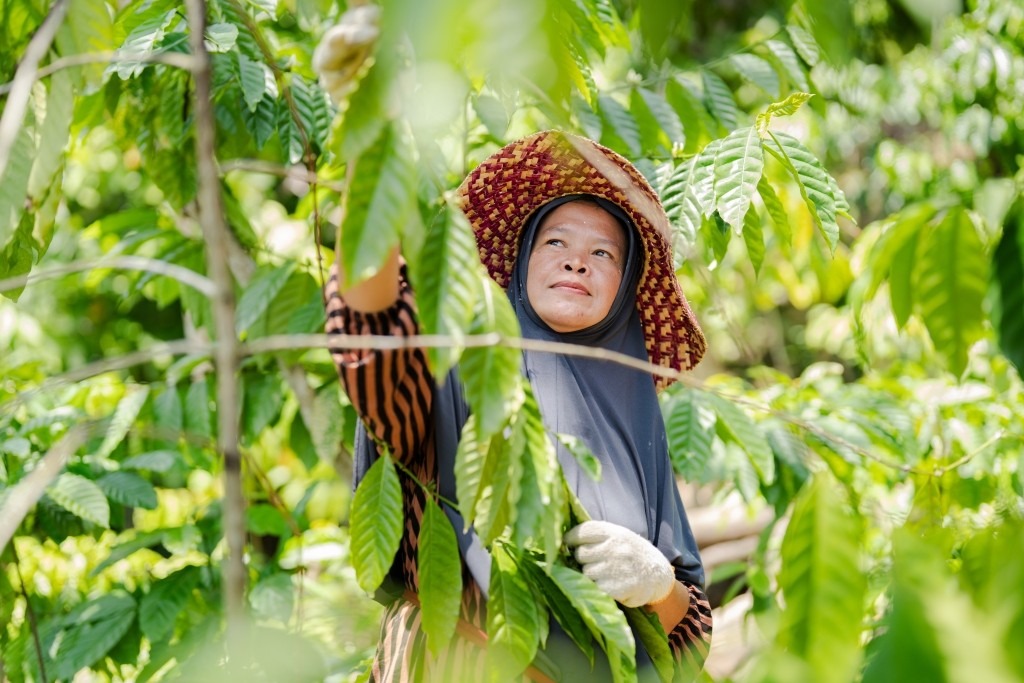 ABM Group Raih Apresiasi Nasional, Tegaskan Komitmen Keberlanjutan