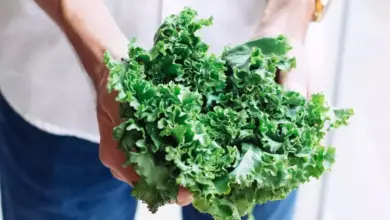 Bahaya Memanaskan Ulang Sayuran di Microwave: Apakah Bisa Picu Kanker?