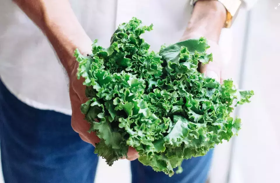Bahaya Memanaskan Ulang Sayuran di Microwave: Apakah Bisa Picu Kanker?