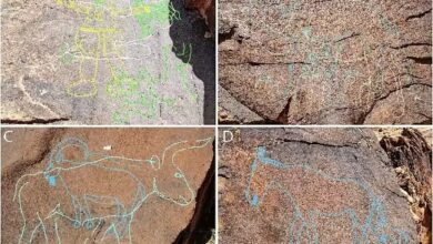 Batu Gurun 12.000 Tahun: Temuan Berisi Pesan Penting untuk Manusia