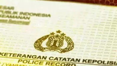 Biaya dan Cara Bikin SKCK untuk CPNS 2026: Panduan Lengkap Terbaru!