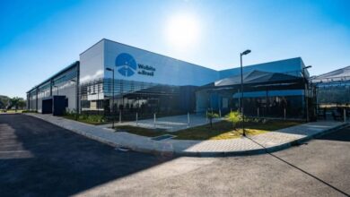 Brasil Resmi Buka Pabrik Nyamuk Terbesar di Dunia untuk Atasi Penyakit