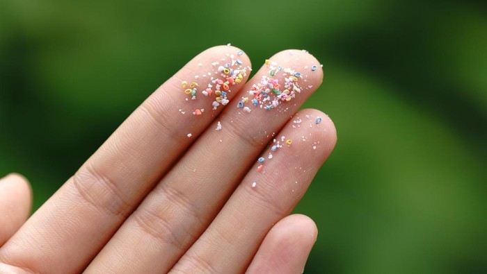 Daftar Organ Tubuh yang Tercemar Mikroplastik: Jantung dan Paru Termasuk