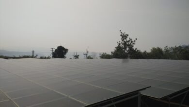 Dana Rp13 Triliun Hasil Sita Korupsi: Peluang Untuk Indonesia Lebih Hijau?