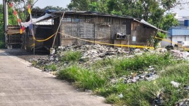 FDA Temukan Cesium-137 di Udang dan Cengkeh Asal Indonesia: Apa Itu?