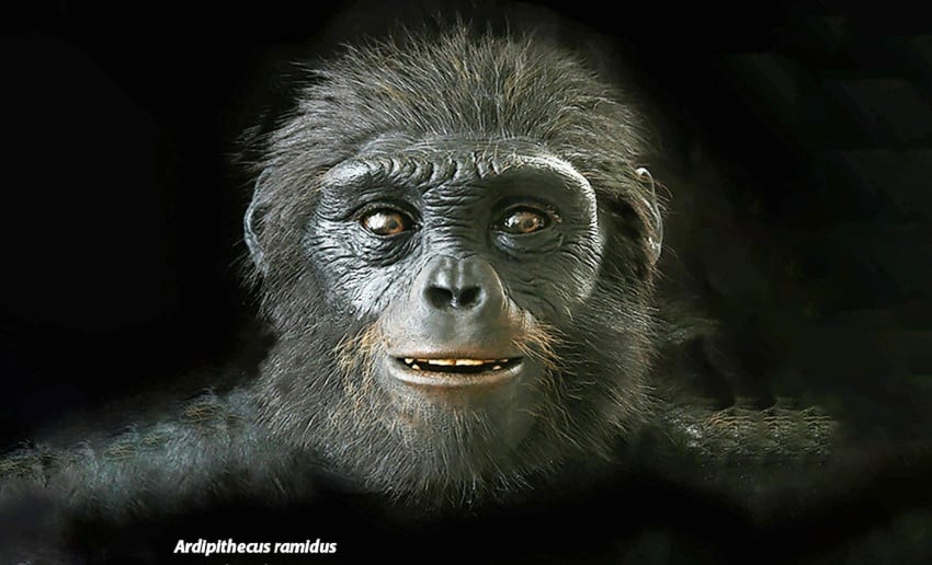 Fosil 4,4 Juta Tahun Guncang Teori Evolusi: Nenek Moyang Manusia 100% Kera Afrika?