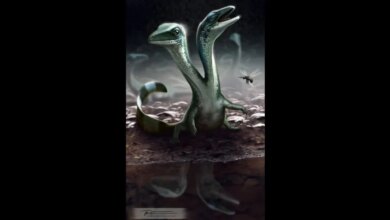 Fosil Dinosaurus Berkepala Dua Ditemukan: Hidup 125 Juta Tahun Lalu?