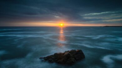 Gelombang Panas Laut Melemahkan Serapan Karbon: Solusi dan Tindakan yang Diperlukan