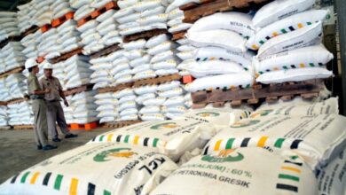 Izin 2.039 Kios dan Pengecer Pupuk Bersubsidi Dicabut, Negara Rugikan Rp 6 Triliun