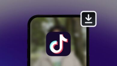 Izin TikTok Dibekukan Sementara: Apa Dampaknya bagi Pengguna di Indonesia?