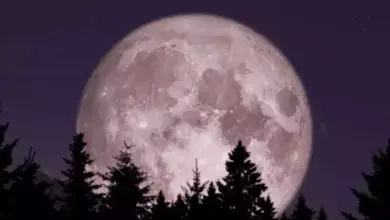 Jangan Lewatkan! Supermoon Terdekat dengan Bumi Akan Terjadi 5 November