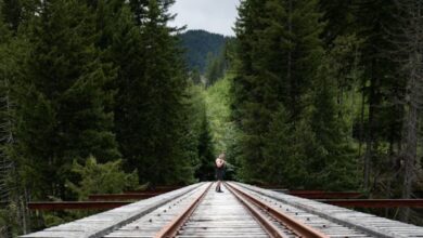 Keajaiban Musim Gugur Colorado: Petualangan Kereta Api Memukau Hati!