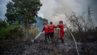 Kebakaran Hutan Dunia Meningkat Tajam: Dampak Ekonomi dan Risiko Kemanusiaan Meluas